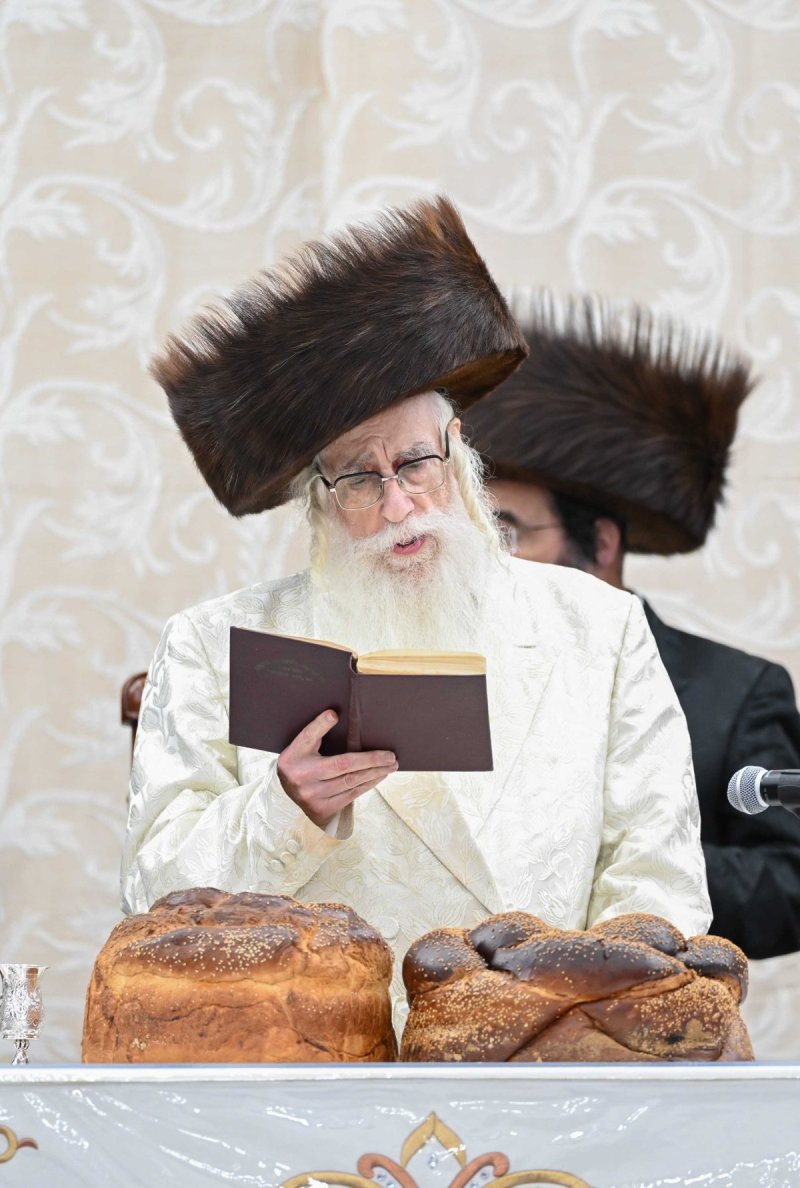 משה גולדשטיין