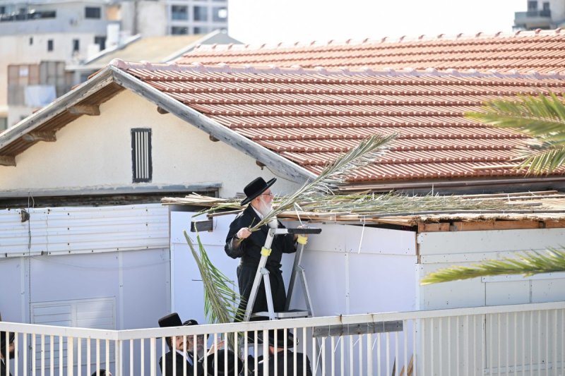 משה גולדשטיין