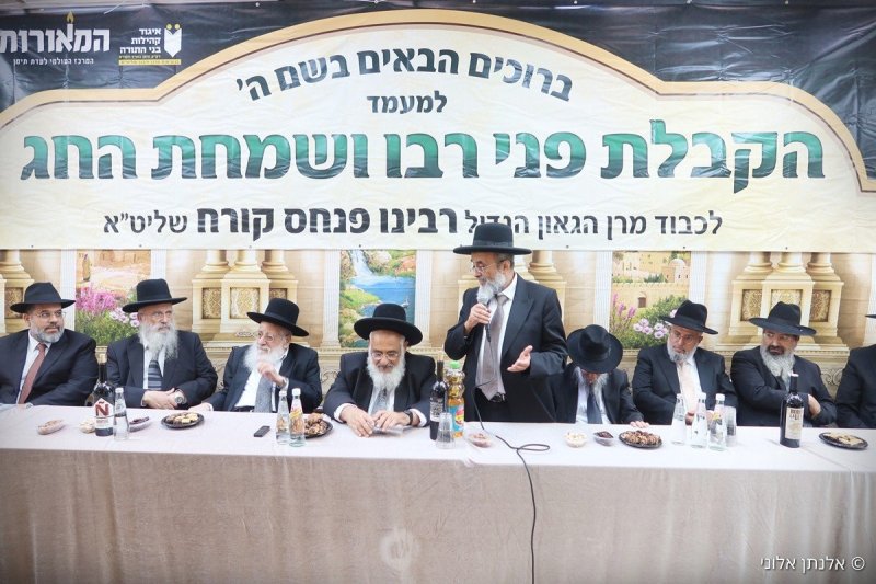 אלנתן אלוני