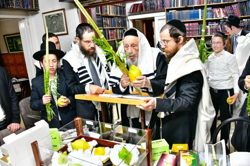 שוקי לרר