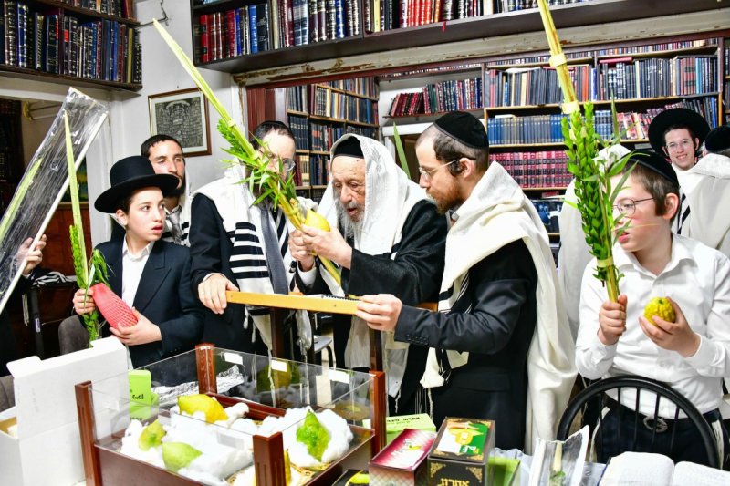 שוקי לרר