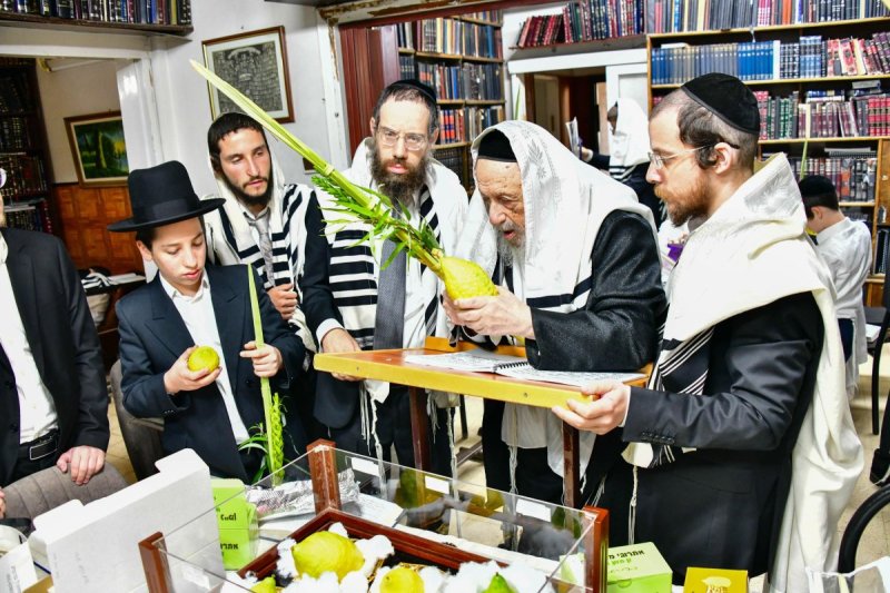 שוקי לרר