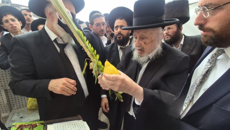 שוקי לרר