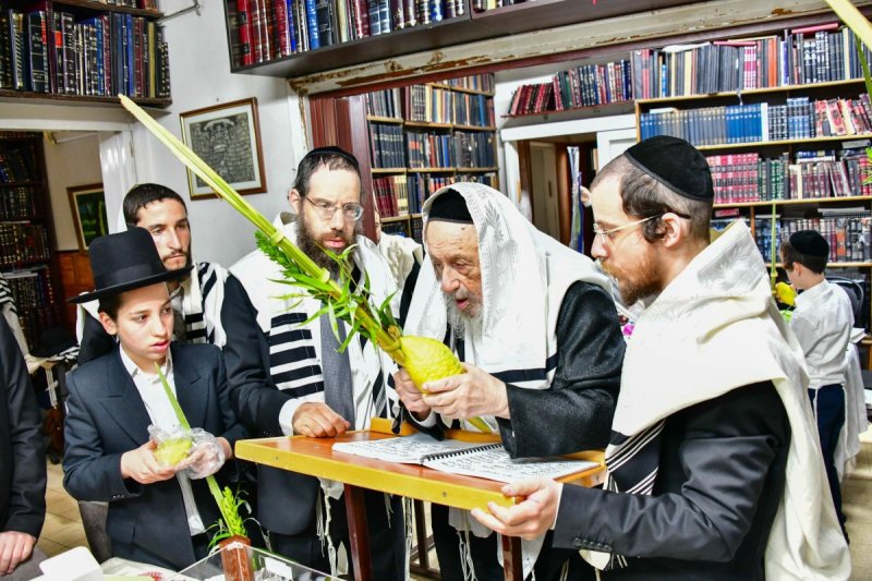 שוקי לרר