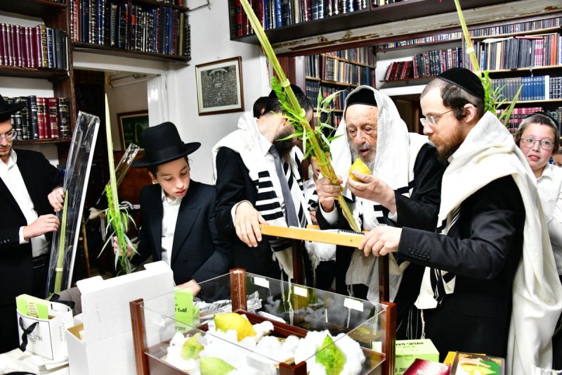 שוקי לרר
