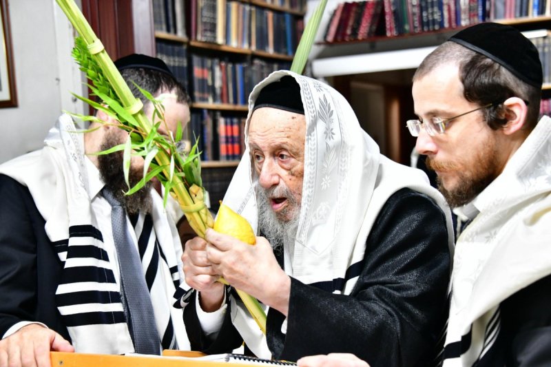 שוקי לרר