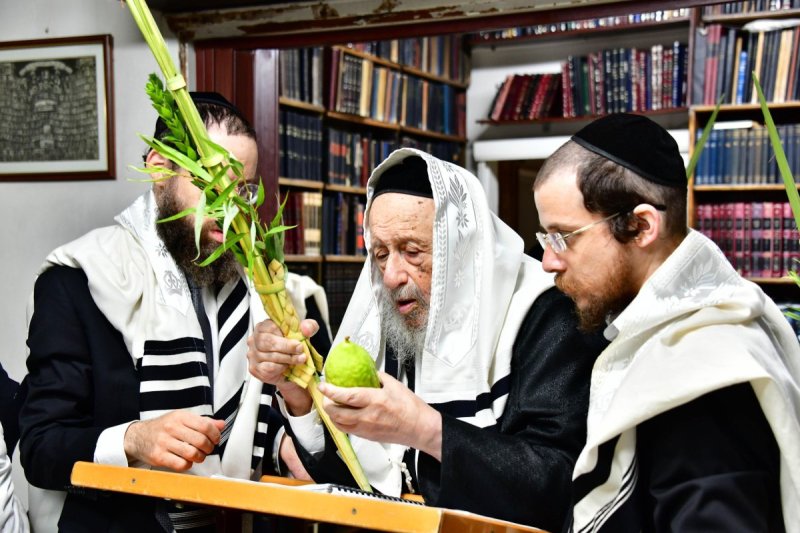 שוקי לרר