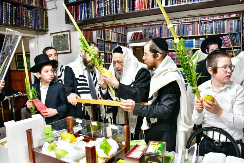 שוקי לרר
