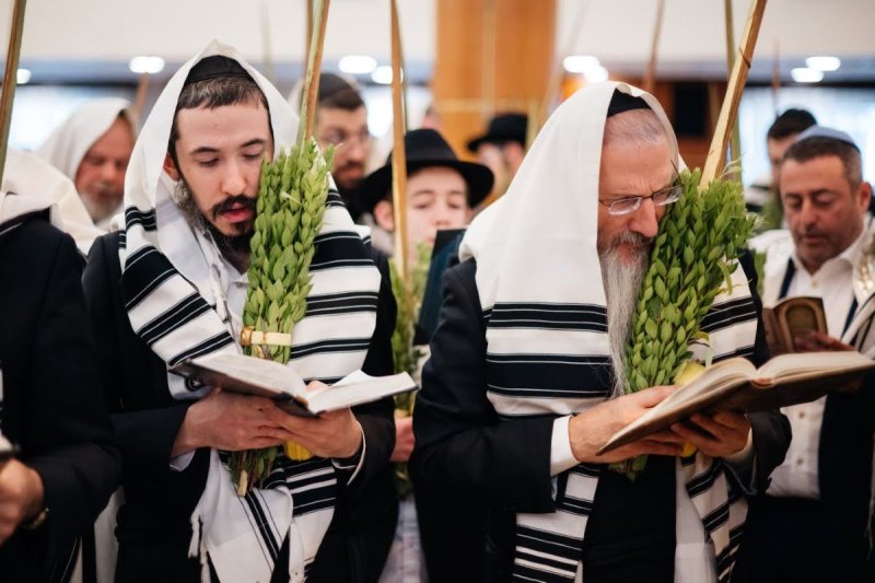 לוי נאזרוב