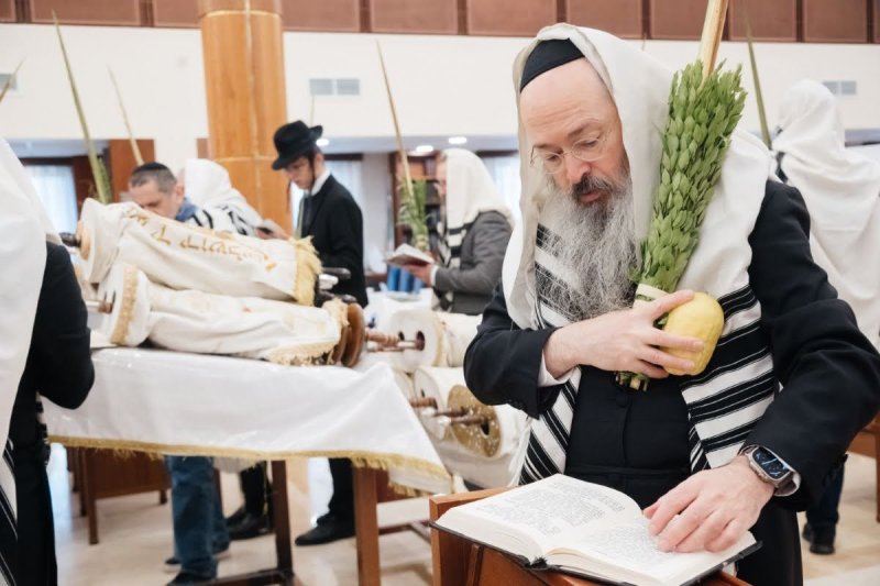 לוי נאזרוב