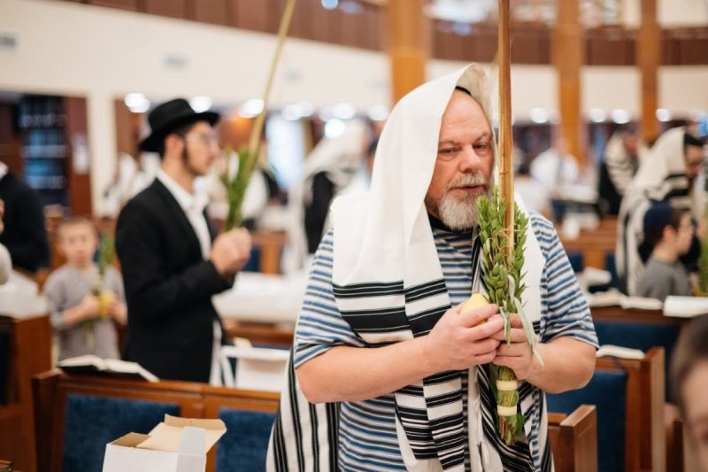 לוי נאזרוב