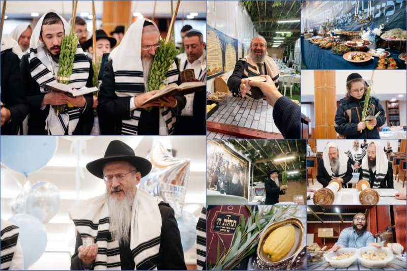 לוי נאזרוב