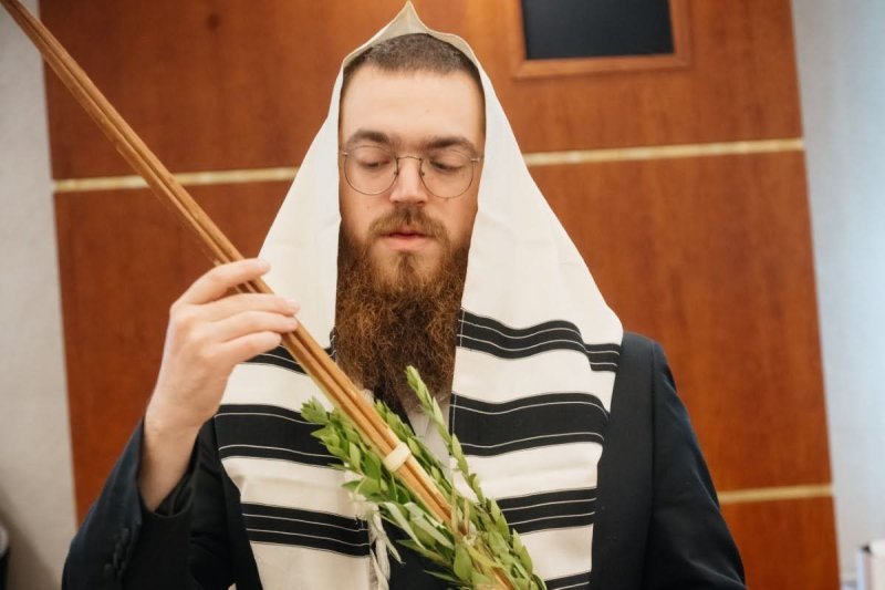 לוי נאזרוב