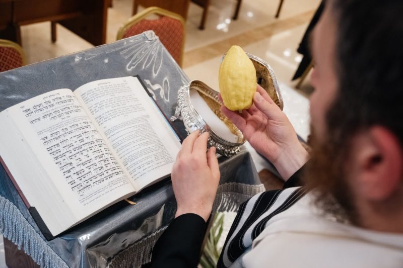 לוי נאזרוב