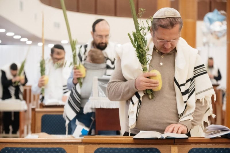 לוי נאזרוב