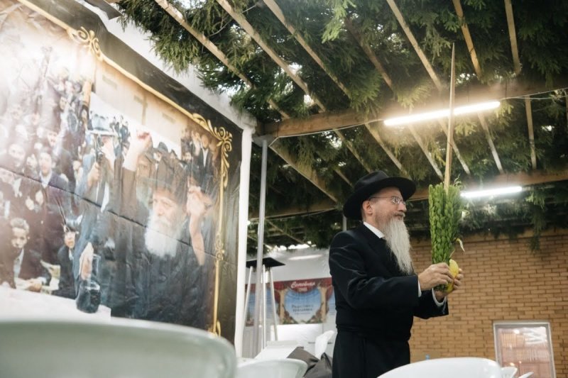 לוי נאזרוב
