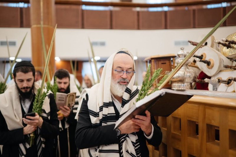 לוי נאזרוב