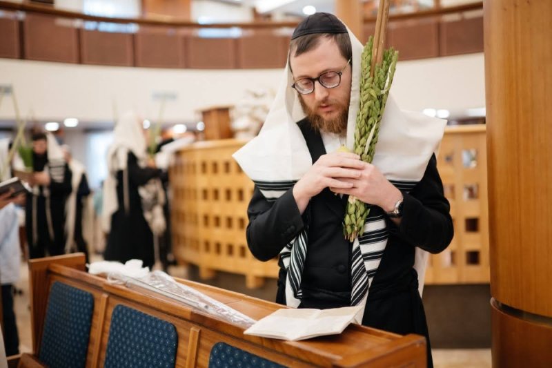 לוי נאזרוב