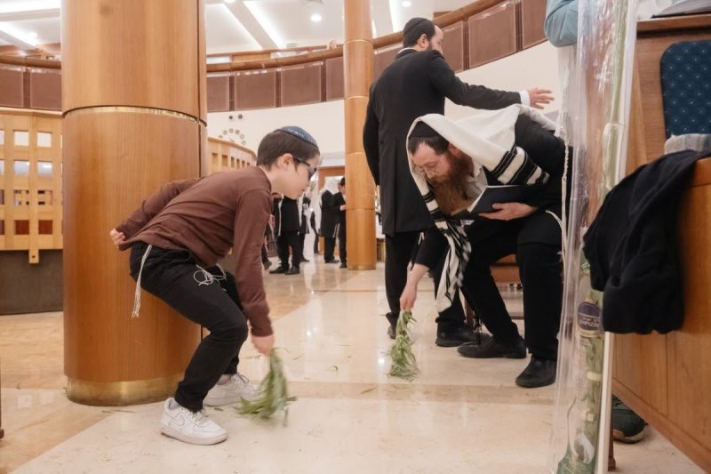 לוי נאזרוב