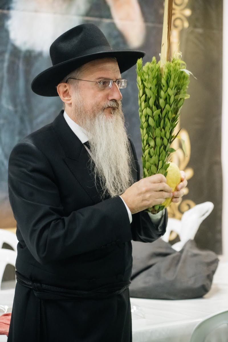 לוי נאזרוב