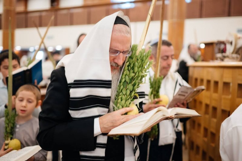 לוי נאזרוב