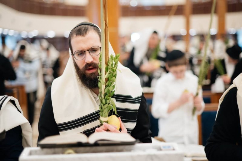 לוי נאזרוב