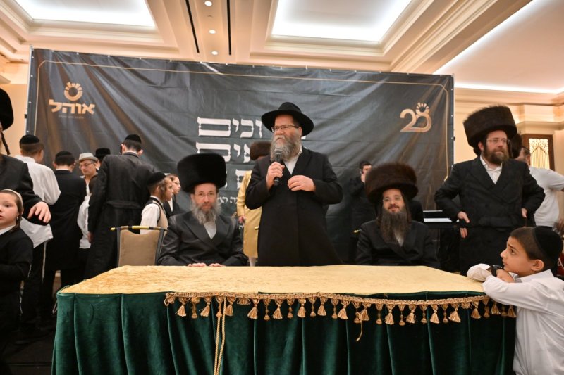 יהושע פרוכטר