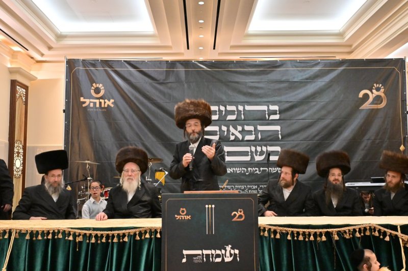 יהושע פרוכטר