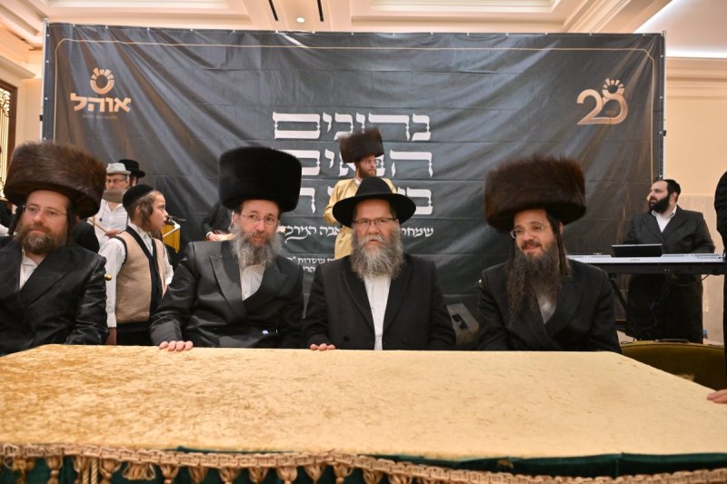 יהושע פרוכטר