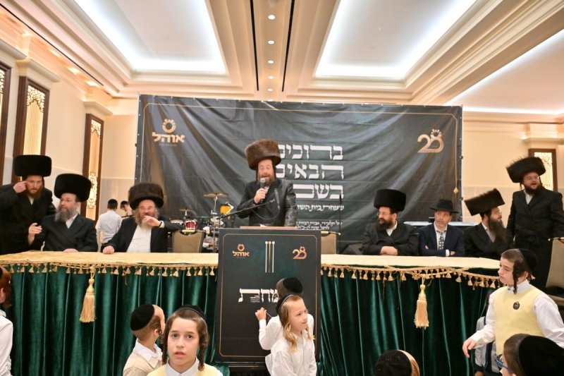 יהושע פרוכטר