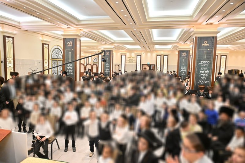 יהושע פרוכטר