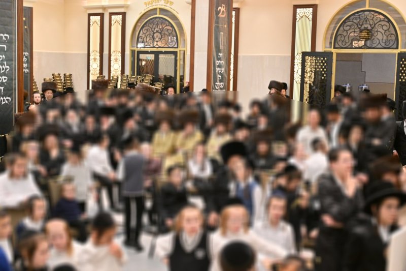 יהושע פרוכטר