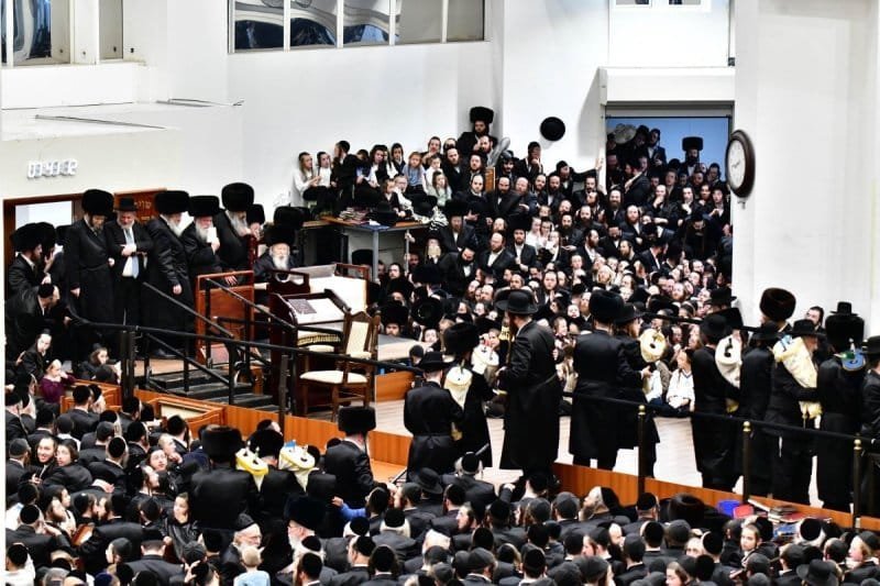 שוקי לרר