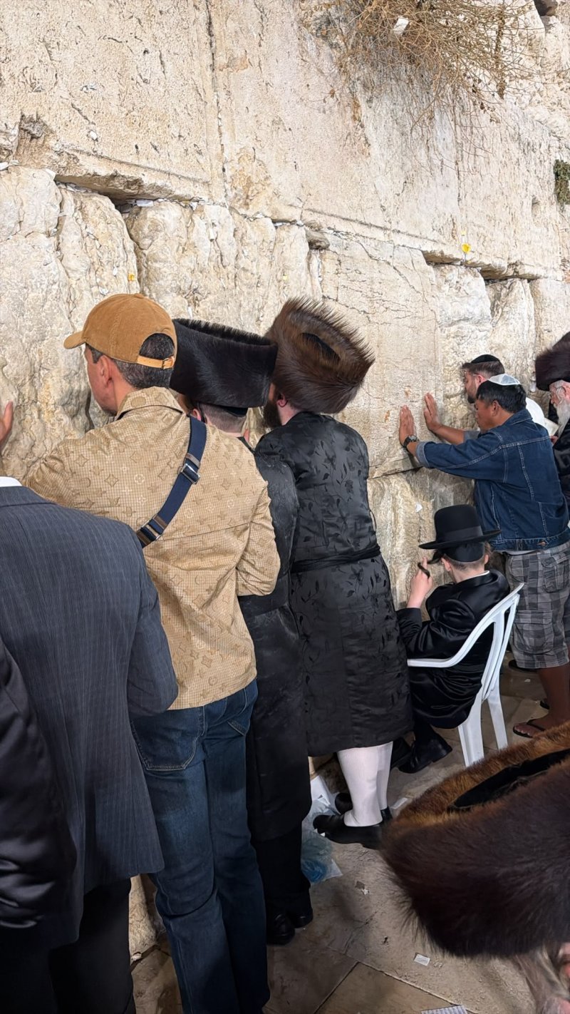 שוקי לרר