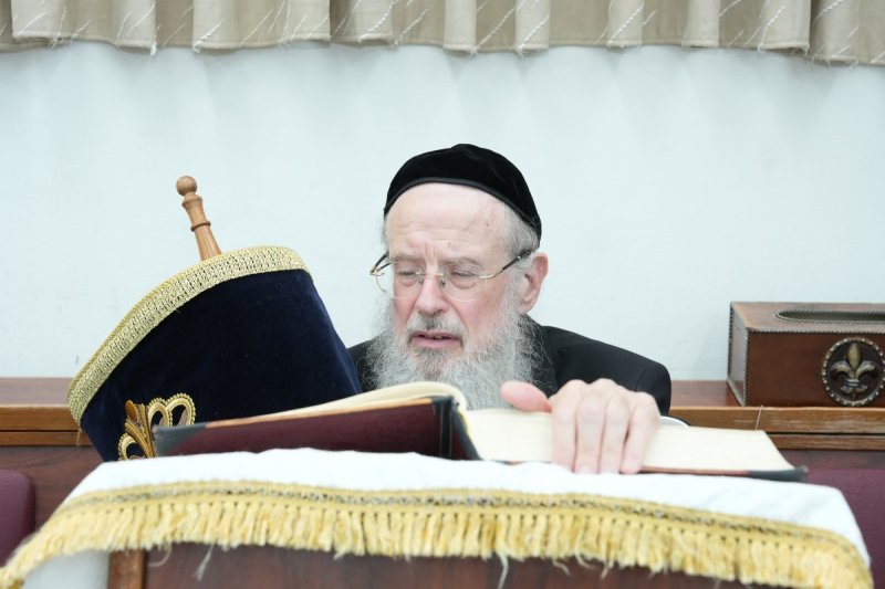 שוקי לרר