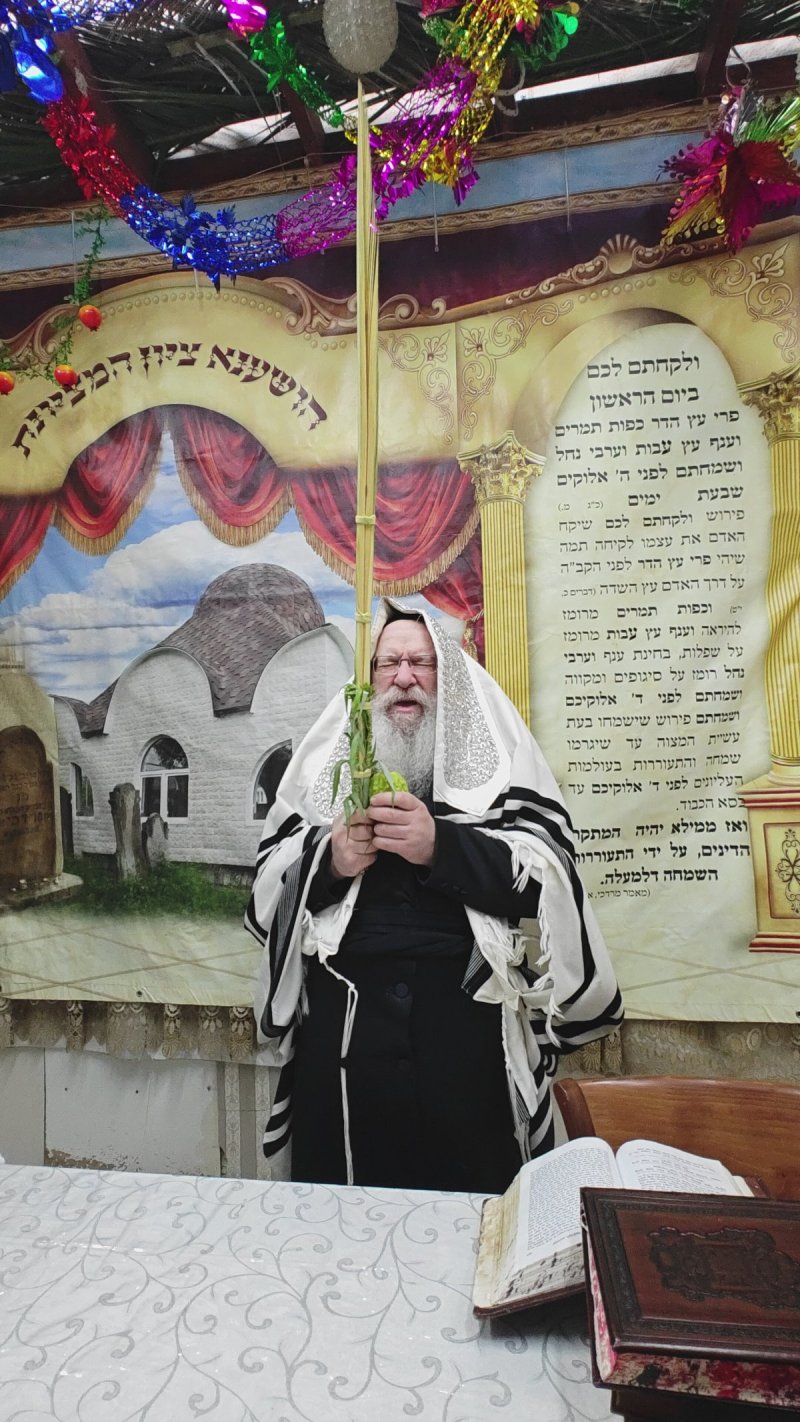 שוקי לרר, אברומי ברגר ומ.ש