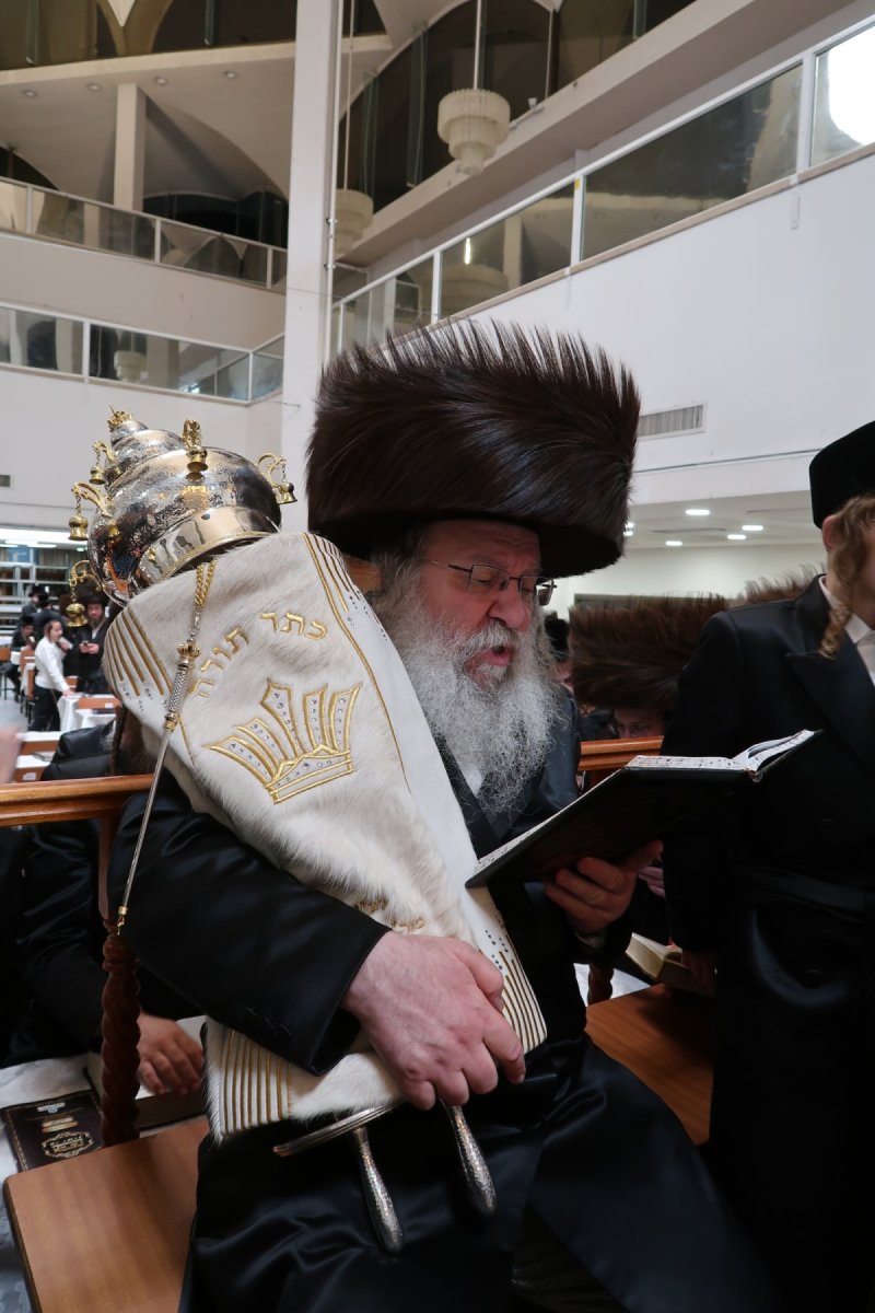 שוקי לרר, אברומי ברגר ומ.ש