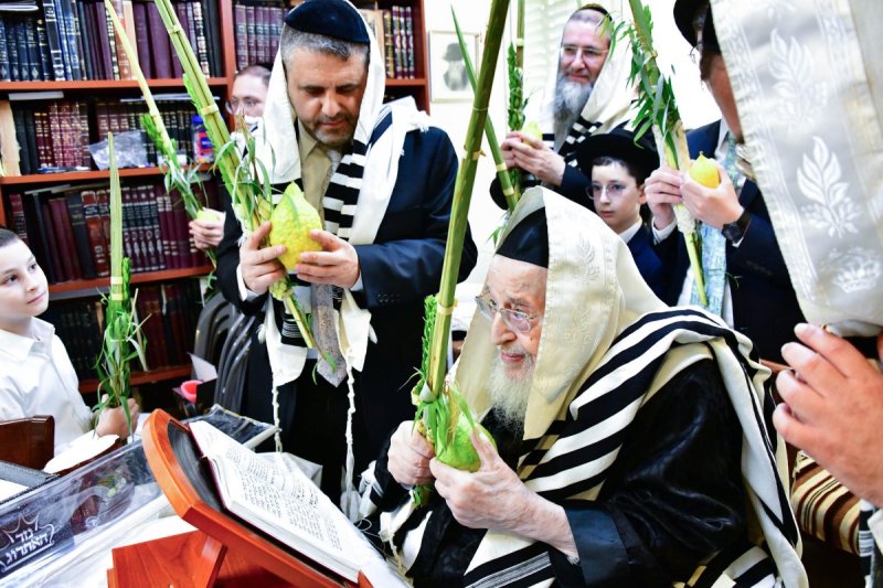 שוקי לרר