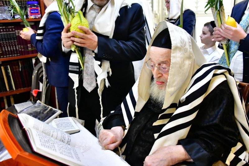 שוקי לרר