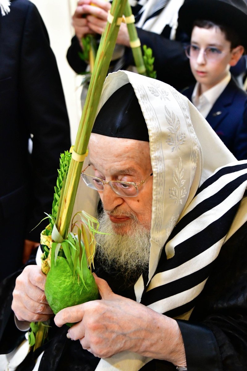 שוקי לרר