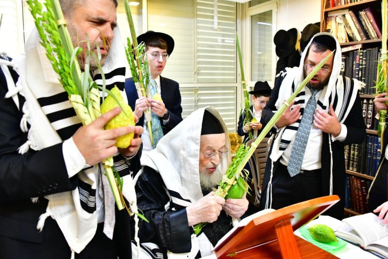 שוקי לרר