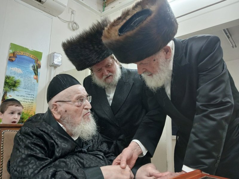 שוקי לרר