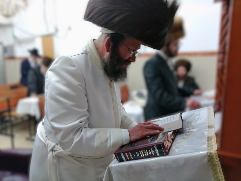 שוקי לרר