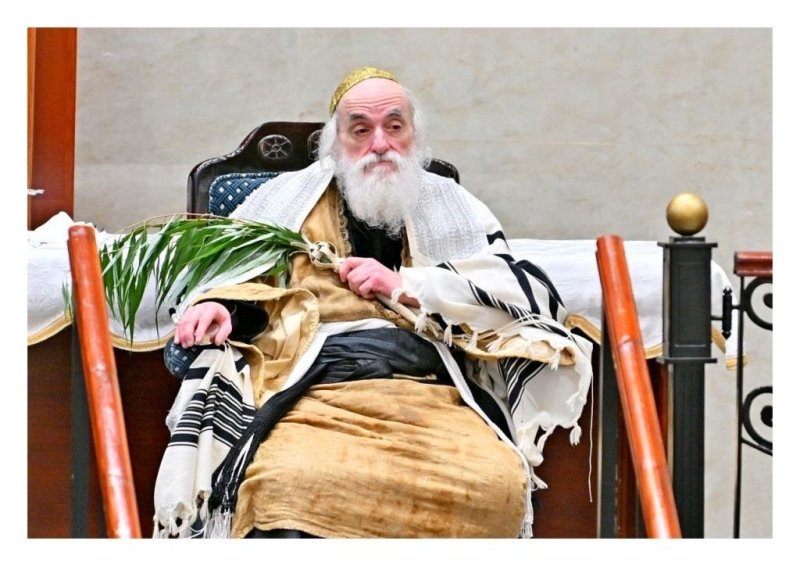 יהושע פרוכטר