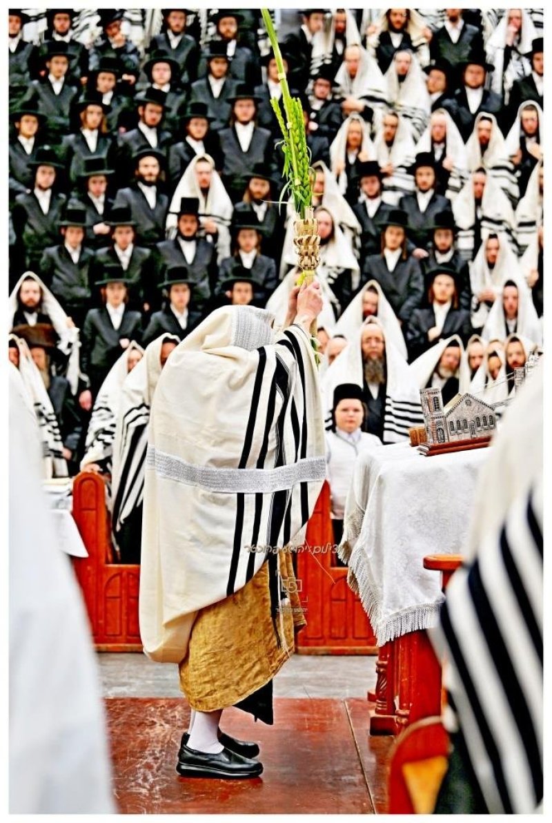 יהושע פרוכטר