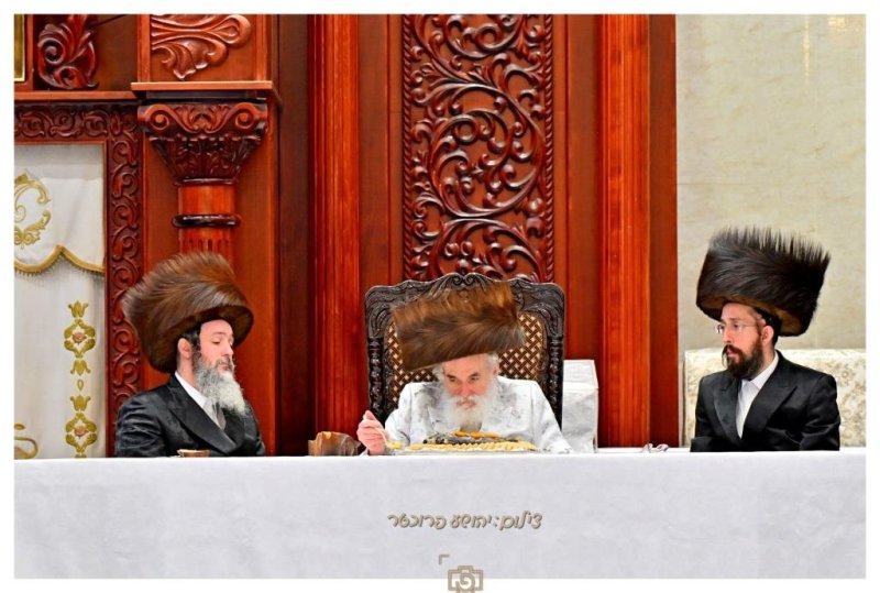יהושע פרוכטר