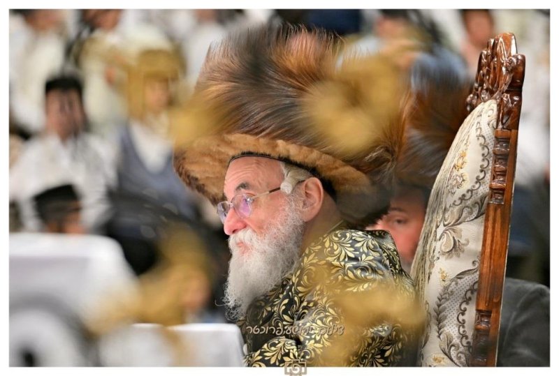 יהושע פרוכטר