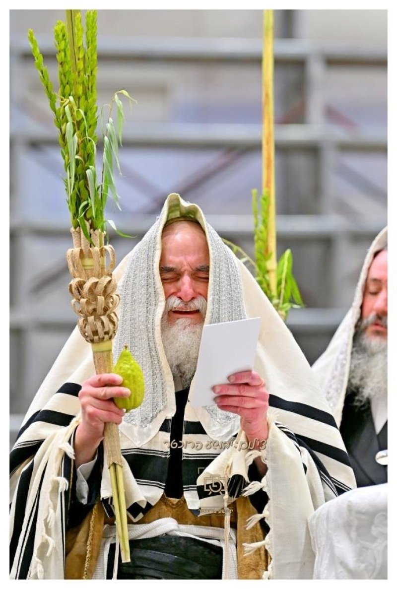 יהושע פרוכטר