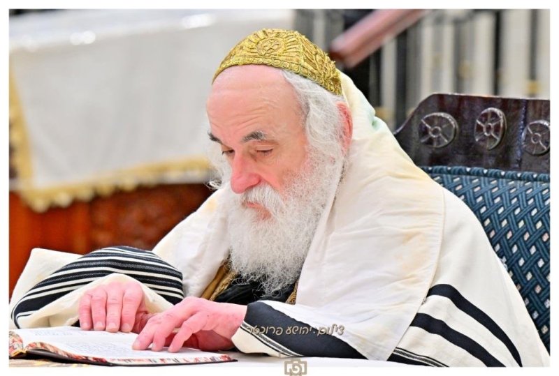יהושע פרוכטר