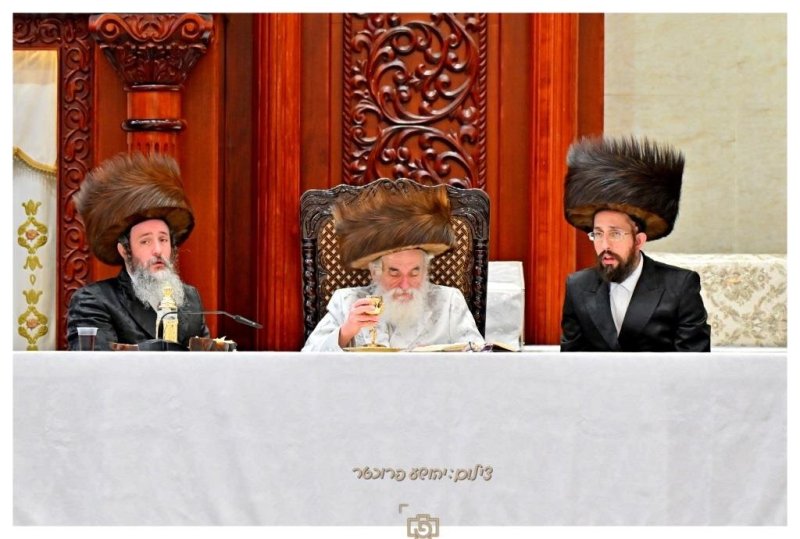 יהושע פרוכטר